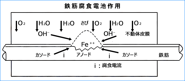 1鉄筋腐食電池作用